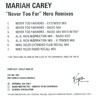 Never Too Far / Hero Remixes